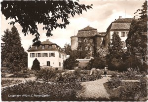 Laupheim (Württ.). Rosengarten